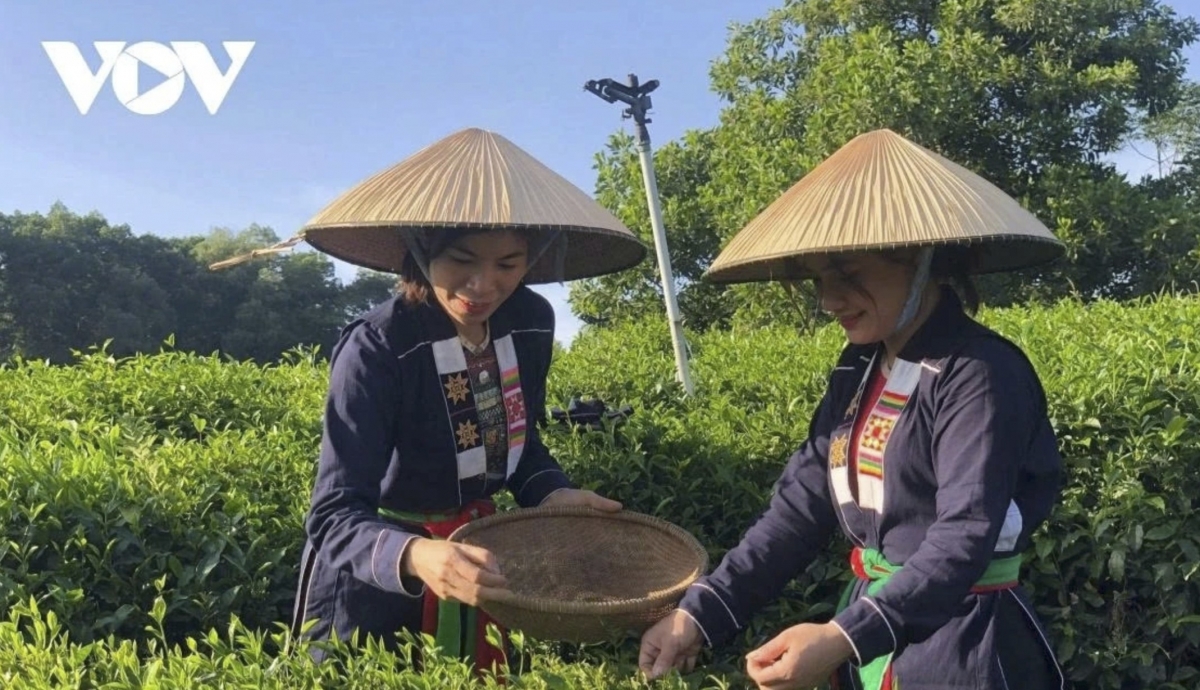 Promoting green credit for sustainable agriculture